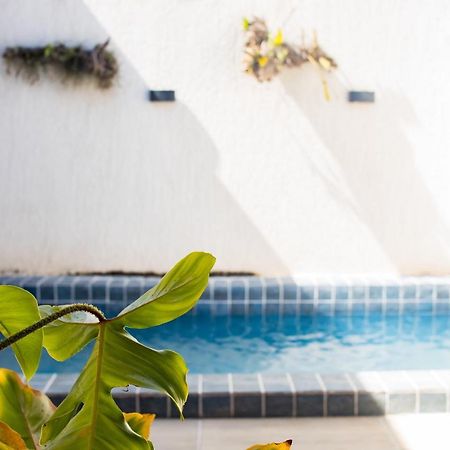 São Miguel dos Milagres Casa Kayak - Villa Remo Milagres Piscina Privativa מראה חיצוני תמונה