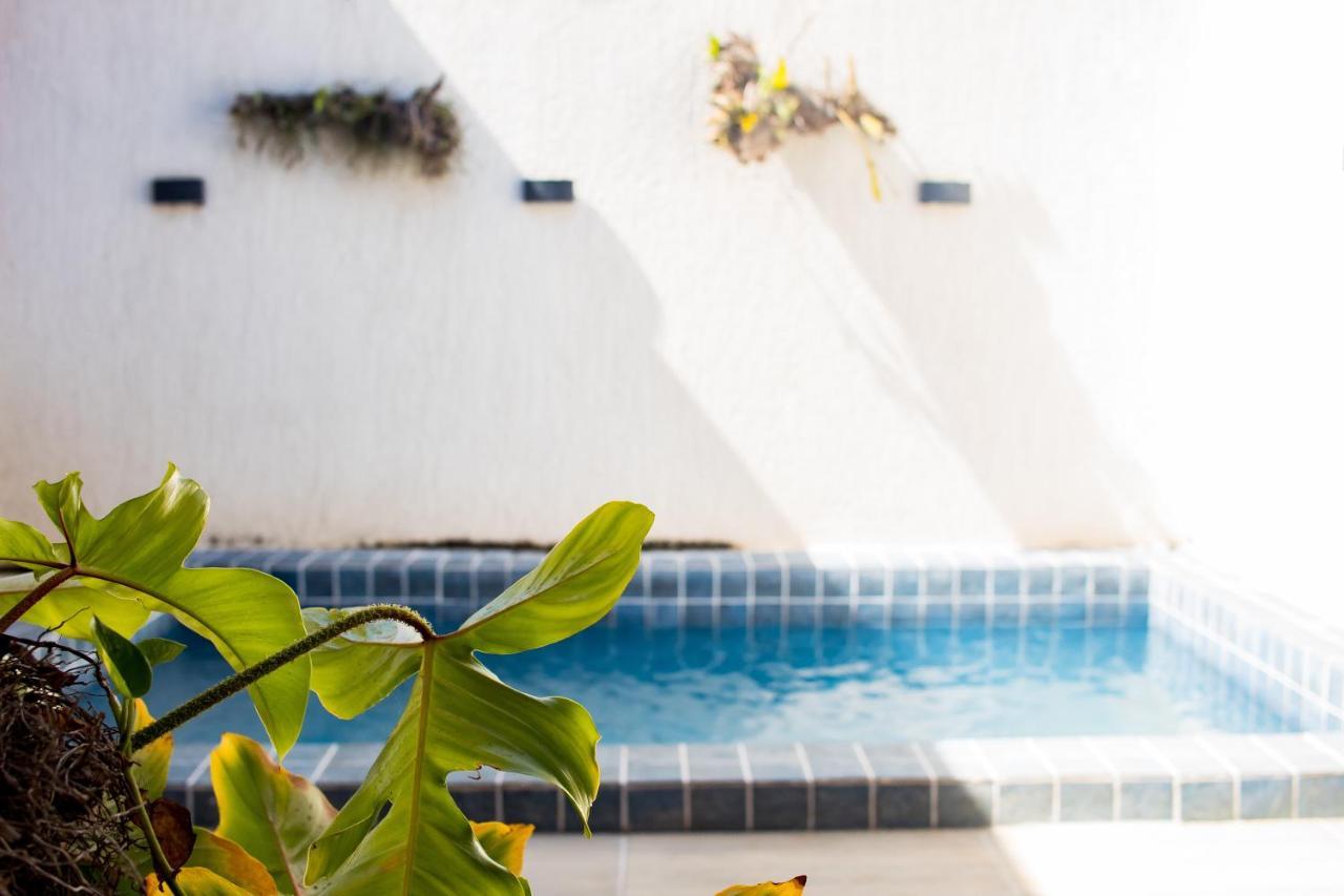 São Miguel dos Milagres Casa Kayak - Villa Remo Milagres Piscina Privativa מראה חיצוני תמונה